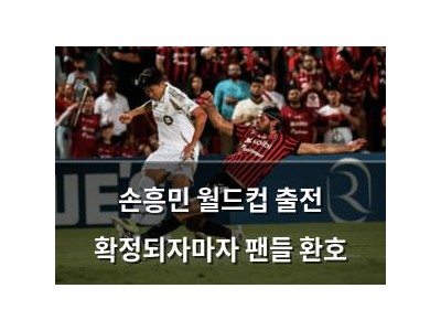 손흥민 월드컵 출전 확정되자마자 팬들 환호