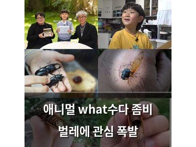 애니멀 what수다 좀비 벌레에 관심 폭발