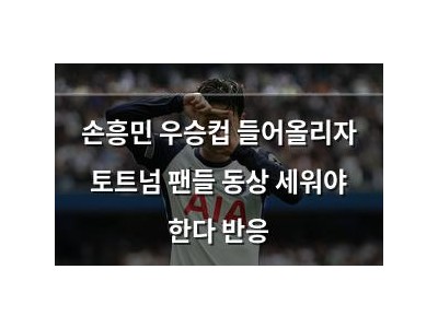 손흥민 우승컵 들어올리자 토트넘 팬들 동상 세워야 한다 반응