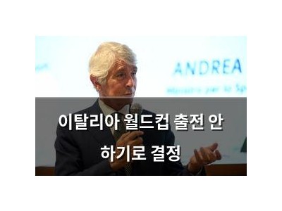 이탈리아 월드컵 출전 안 하기로 결정