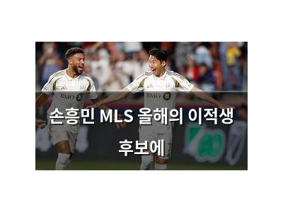 손흥민 MLS 올해의 이적생 후보에