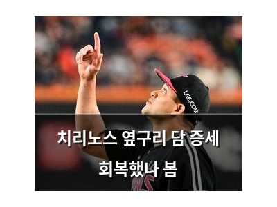 치리노스 옆구리 담 증세 회복했나 봄