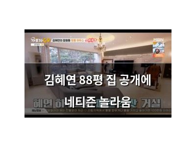 김혜연 88평 집 공개에 네티즌 놀라움