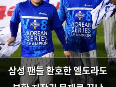 삼성 팬들 환호한 엘도라도 부활 저작권 문제로 끝난 이유