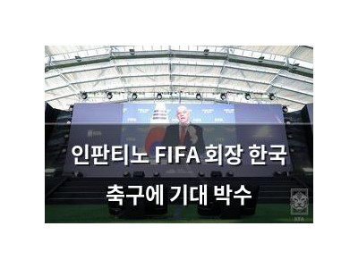 인판티노 FIFA 회장 한국 축구에 기대 박수