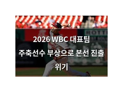 2026 WBC 대표팀 주축선수 부상으로 본선 진출 위기