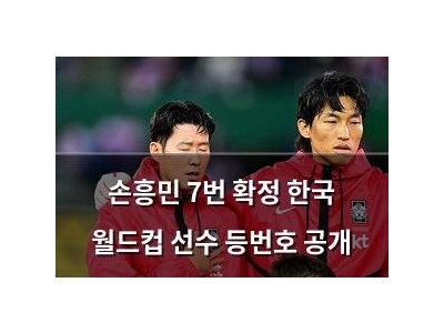 손흥민 7번 확정 한국 월드컵 선수 등번호 공개