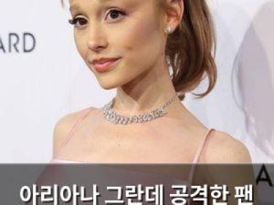 아리아나 그란데 공격한 팬 체포 싱가포르 콘서트 현장 혼란