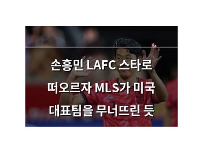 손흥민 LAFC 스타로 떠오르자 MLS가 미국 대표팀을 무너뜨린 듯
