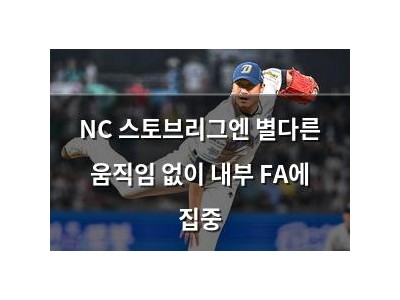 NC 스토브리그엔 별다른 움직임 없이 내부 FA에 집중
