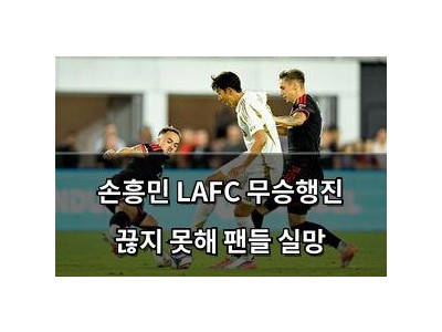 손흥민 LAFC 무승행진 끊지 못해 팬들 실망